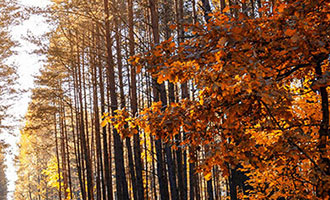 海南广播电视总台抖音粉丝数达 383.8 万，成海南媒体头部 TOP1