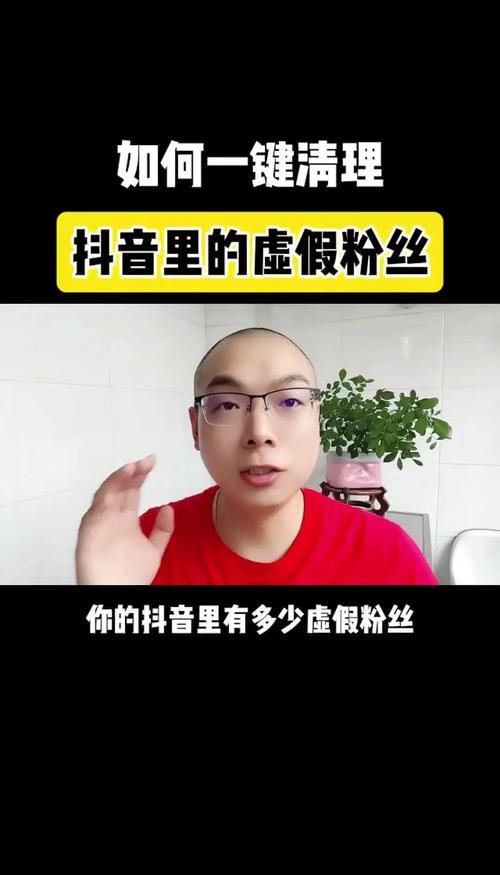 清理虚假粉丝_抖音有效粉丝是怎么认定的_查看有效粉丝