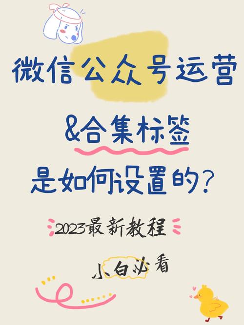微信公众号运营_公众号100分开通流程_内容创作与发布